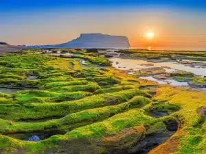 Jeju Island from india