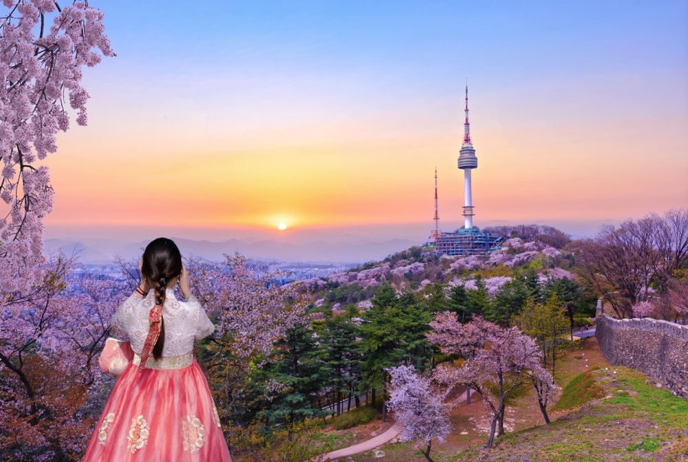 seoul tour packages from delhi