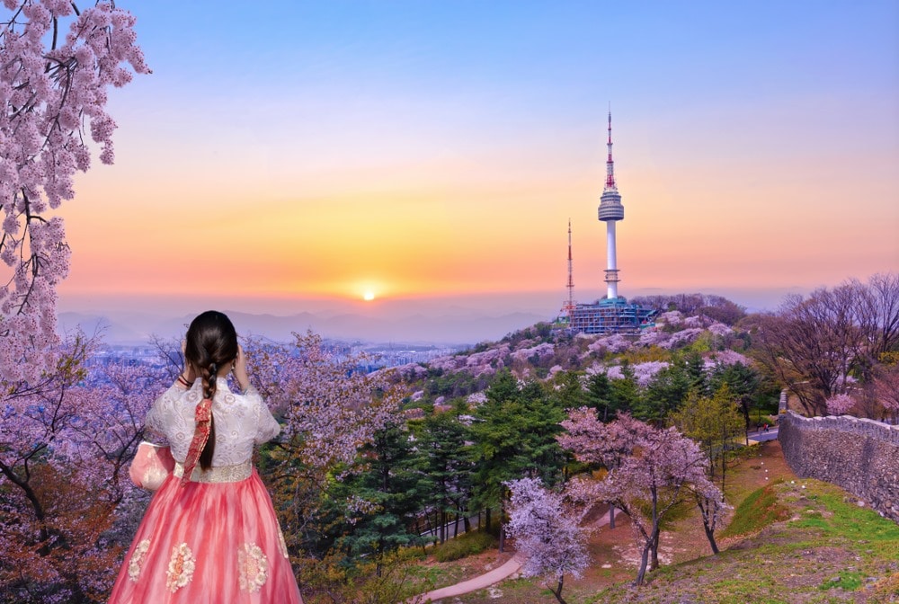 india to korea tour package