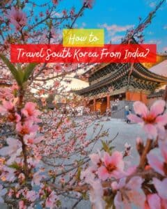 travel south korea from india